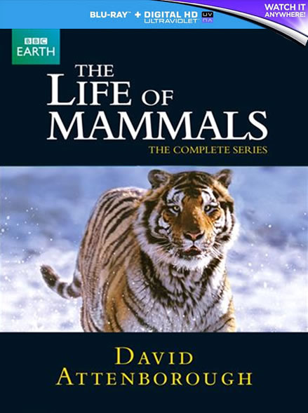 BBC The Life of Mammals (Bluray)