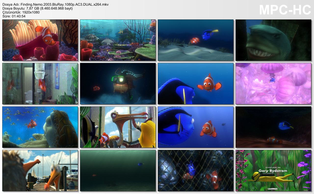 finding nemo characters